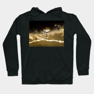 Red Arrows - 7 of 9 Hoodie